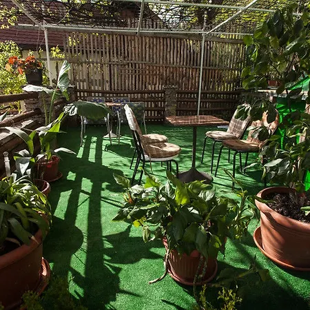 Like بيت ضيافة